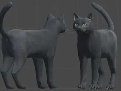 Cat pack 1 Low-poly 3D model