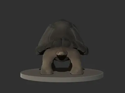 Tortoise 3D High Poly Model 3D model