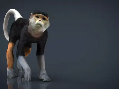 Monkey cat Low-poly 3D model