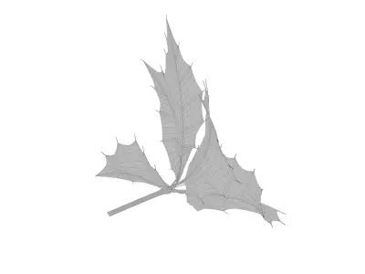 leaves and fruit 3D model
