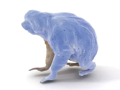 Realistic Sloth Fur model pack Low-poly 3D model