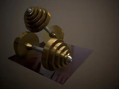 Dumbbells 3D model order