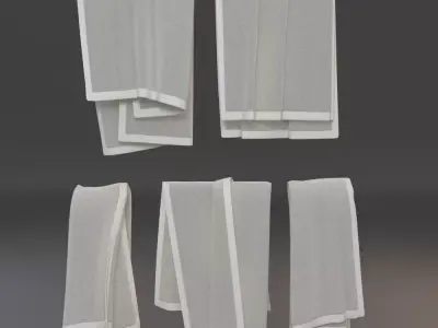 Hanging Towels 2 3D model