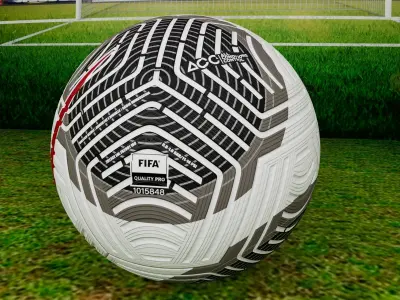 Nike Flight 23 24 soccer ball Free 3D model
