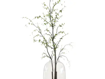 collection Plants Bouquet Indoor glass vase 06 3D model