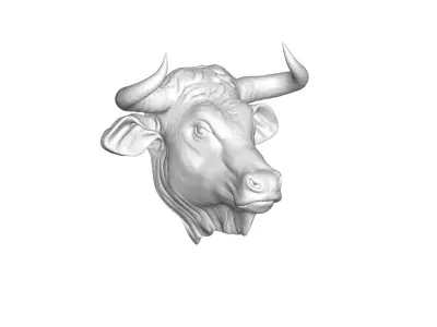 Buffalo Head 3D model