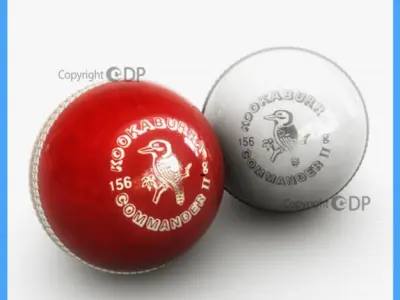 Cricket Ball 3D model