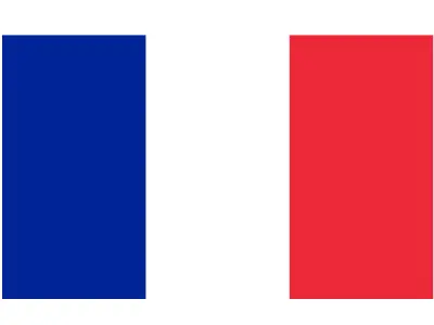 Country Flags 3D model