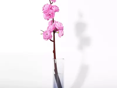 Flower plant set 06 3D model