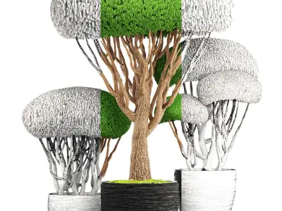 bonsai tree  3D model