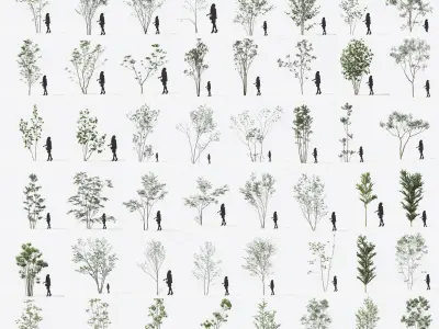 Trees - Pack 2 3D model