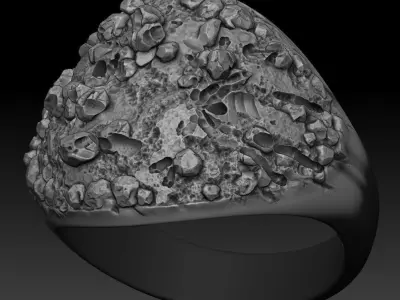 fight scorpions ring man 3D print model