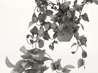 pendant plant 3D model