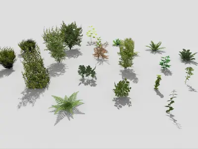 low poly foliage pack Low-poly 3D model