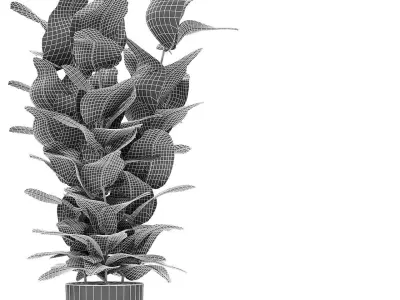 Plant in Pot Flowerpot Exotic Plant 3D model 3
