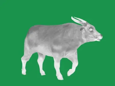 African Dwarf Forest Buffalo Low-poly 3D model
