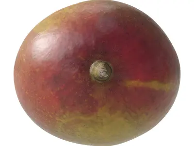 Mango fruit 3D Model Collection