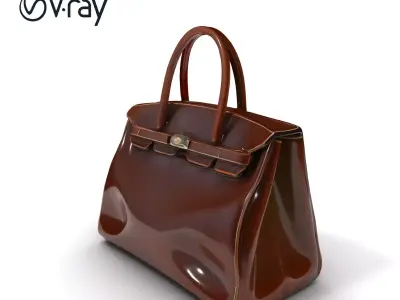 Luxury Handbag Model Pack for D Rendering and Games Low-poly 3D model