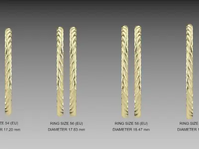 Rope ring model part 3D print model