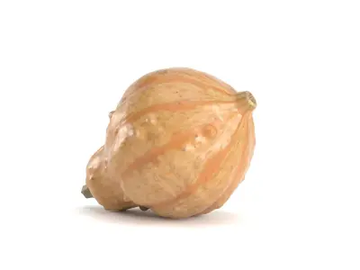 Decorative Pumpkin Gourd 4 3D model