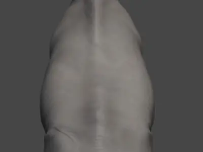 Realistic Rhinoceros 3D Model 3D model