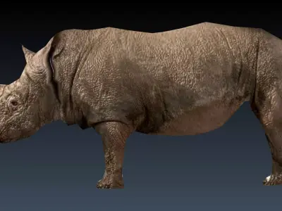 Rinosaurs rhinoceros Low-poly 3D model
