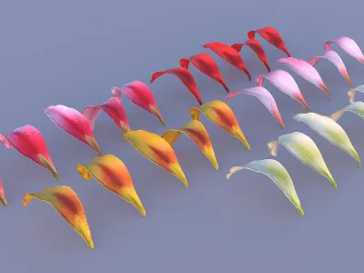 Lily Petals in 5 Colors Low-poly 3D model