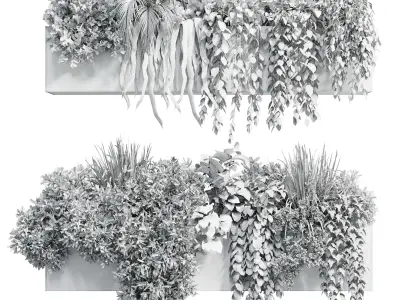 wall plant hanging plants collection Indoor plant  Low-poly 3D model