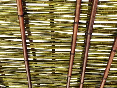 Branch bamboo long low n3 3D model