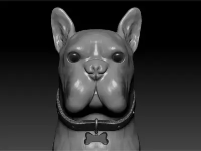 Bulldog french 3D model