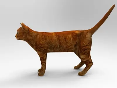 Cat game ready low poly model 3D orange Low-poly 3D model