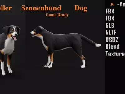 Appenzeller Sennenhund Dog 3D model