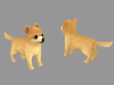 Cartoon pet puppy - Pomeranian - baby dog Low-poly 3D model