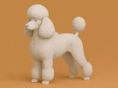 Poodle Continental 3D print model