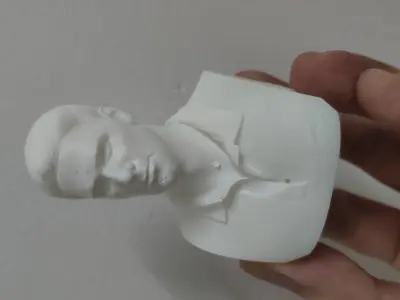 Novak Djokovic 3D Printable 3D print model
