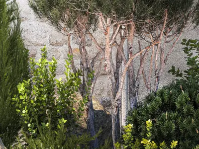 Garden cypress thuja pine topiary barberry 1397 3D model