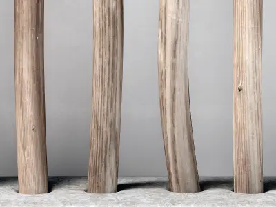 Planter fundament branch thick n2 3D model