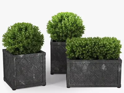 Bushes planter box 3D model