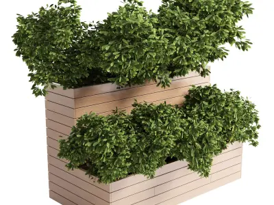 Outdoor plant 14- wood bax Low-poly 3D model