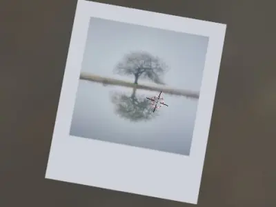 Polaroids Set Free low-poly 3D model