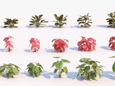 Grass and Modern Flowers Shrubs 3D model