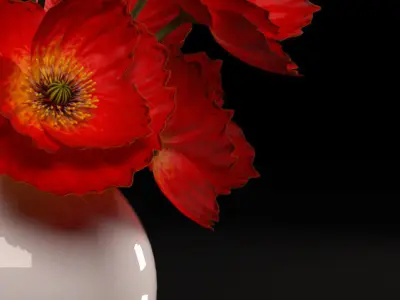 RED POPPIES FLOWERS 3D model