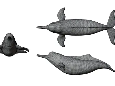 Boto Cor de Rosa - Pink dolphin Low-poly 3D model