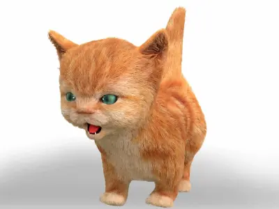 Fur Cute Cat kitten yellow animated Low-poly 3D model