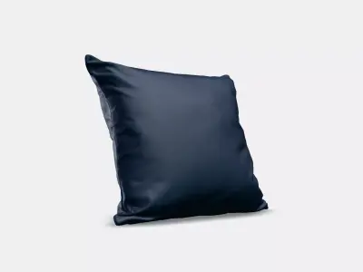 SANELA Cushion cover 9 1 3D model
