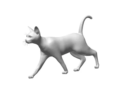 Cat  - 3D model purchase