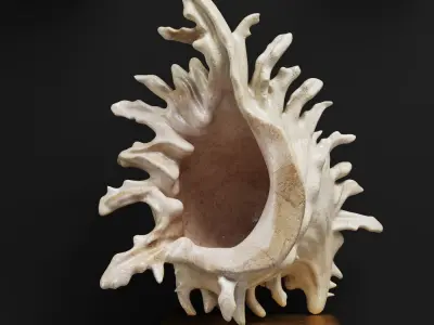 Decor Set 42 3D model