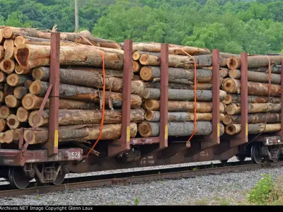 HO Ortner 65 FS-139 Skeleton Pulpwood Log Car  3D print model