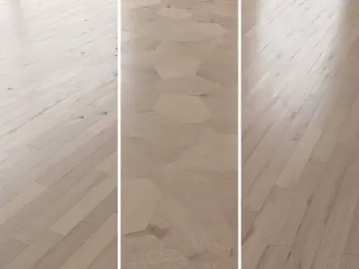 Parquet Oak Vergne Brushed set 7 3D model