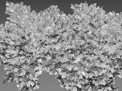 Juniperus procumbens - Garden Juniper 01 Low-poly 3D model